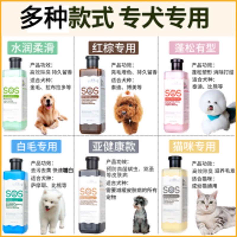 宠物零食市场持续火热:趋势与挑战并存