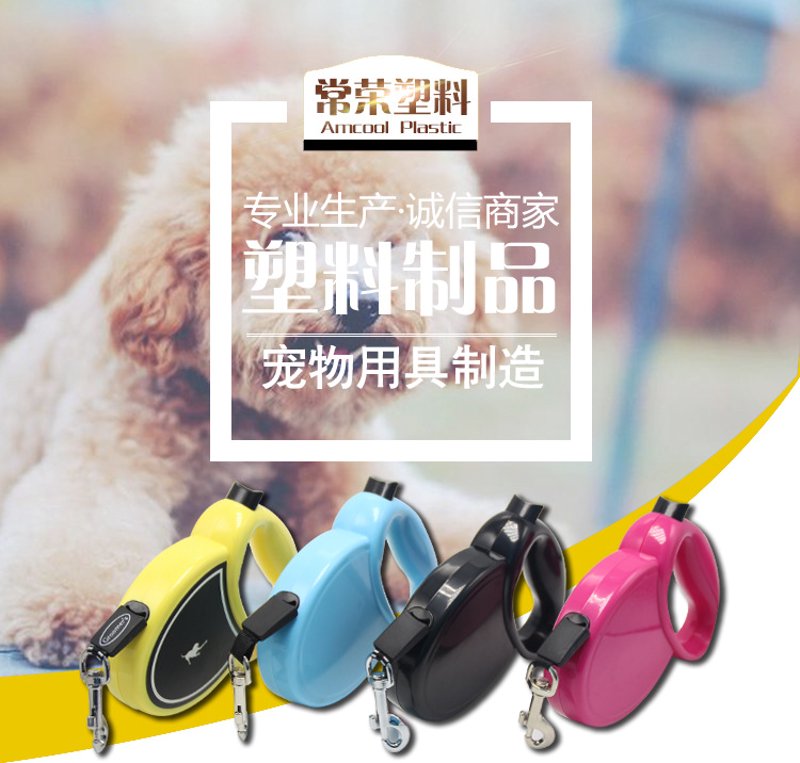 宠物用品批发行业的最新趋势与商机