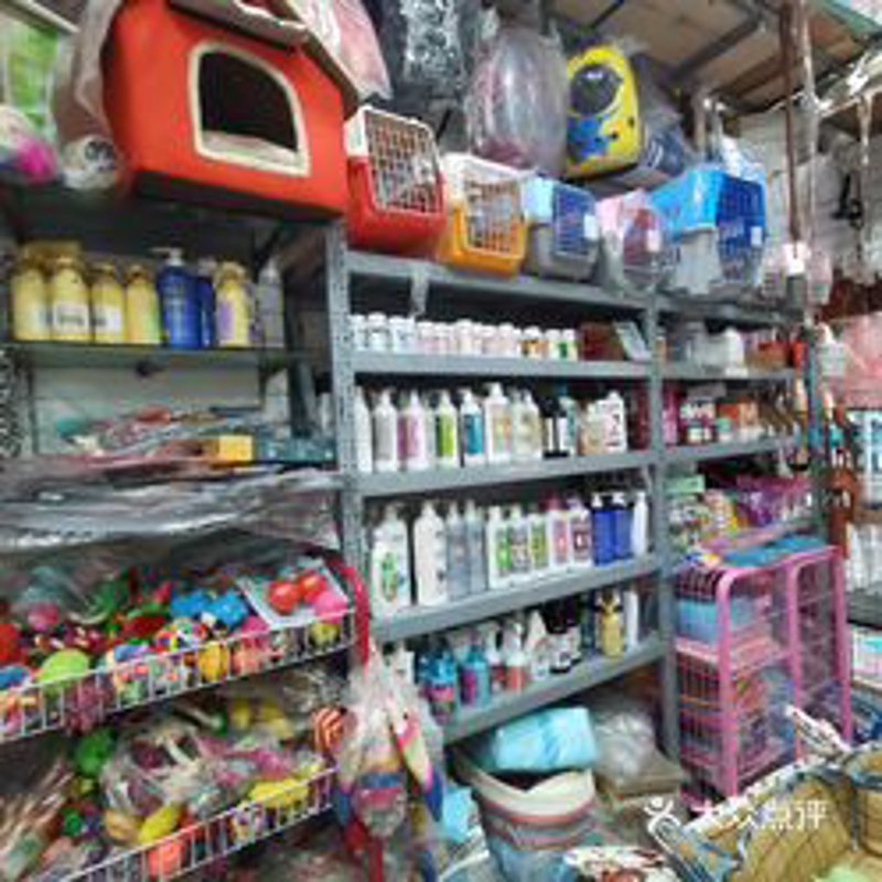 宠物用品批发行业的最新发展动态